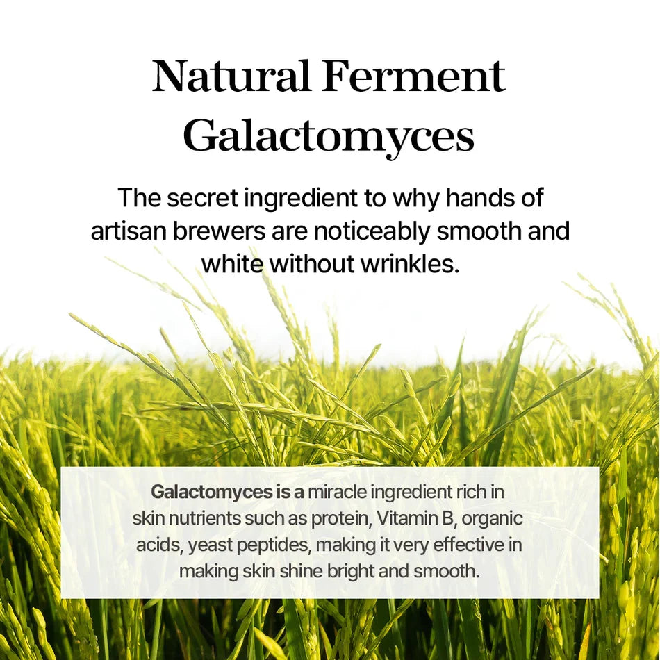 Galactomyces Toner 300ml — product view 6