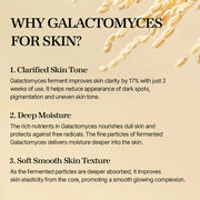 Galactomyces Toner 300ml — product view 7
