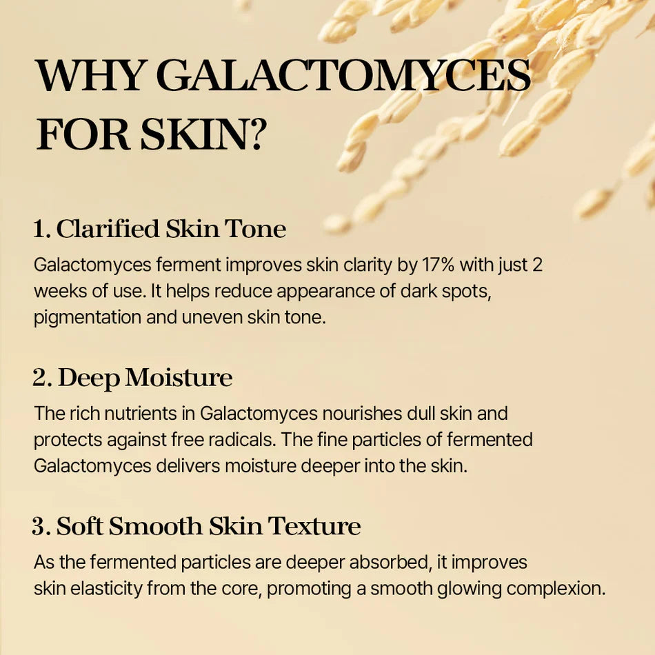 Galactomyces Toner 300ml — product view 7