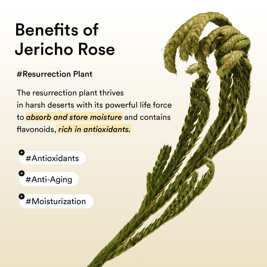 Jericho Rose Jelly Collagen Eye Patch 60 Patches — product view 12