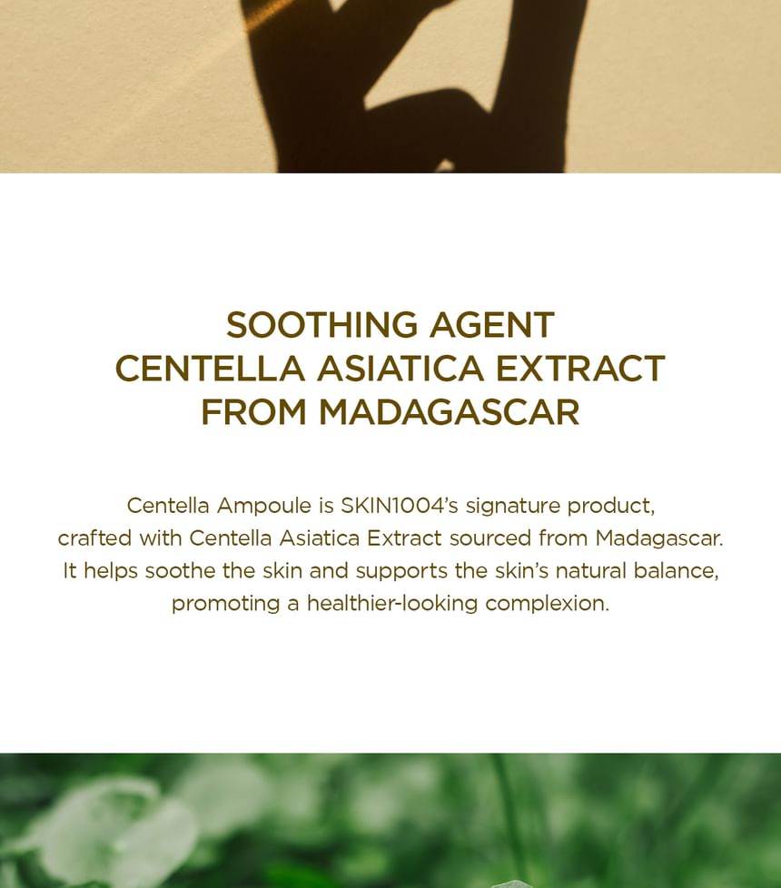 Madagascar Centella Ampoule — product view 14
