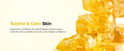 Glow Serum: Propolis + Niacinamide — product view 14