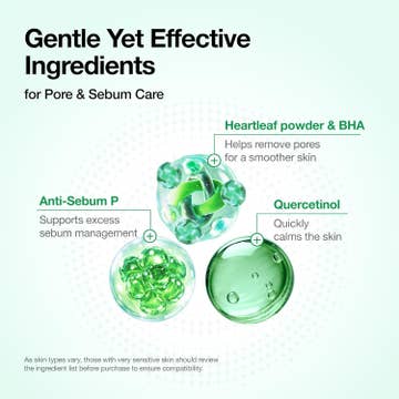 Heartleaf Quercetinol Pore Deep Cleansing Foam — product view 4