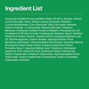 Heartleaf Quercetinol Pore Deep Cleansing Foam — product view 9
