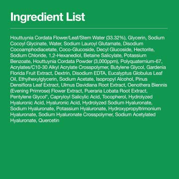 Heartleaf Quercetinol Pore Deep Cleansing Foam — product view 9