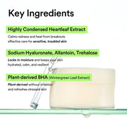 Heartleaf Spot Pad Calming Touch 150ml — product view 5