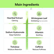 Heartleaf Spot Pad Calming Touch 150ml — product view 11